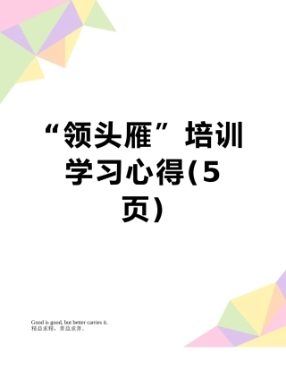 “领头雁”培训学习心得