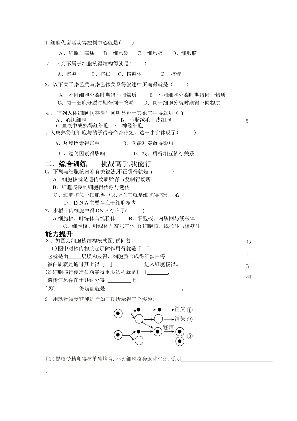 《§3.3  细胞核—系统的控制中心 》导学案_第3页