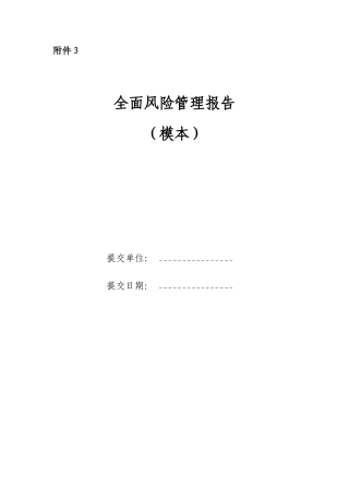 《全面风险管理报告》模本-模范本