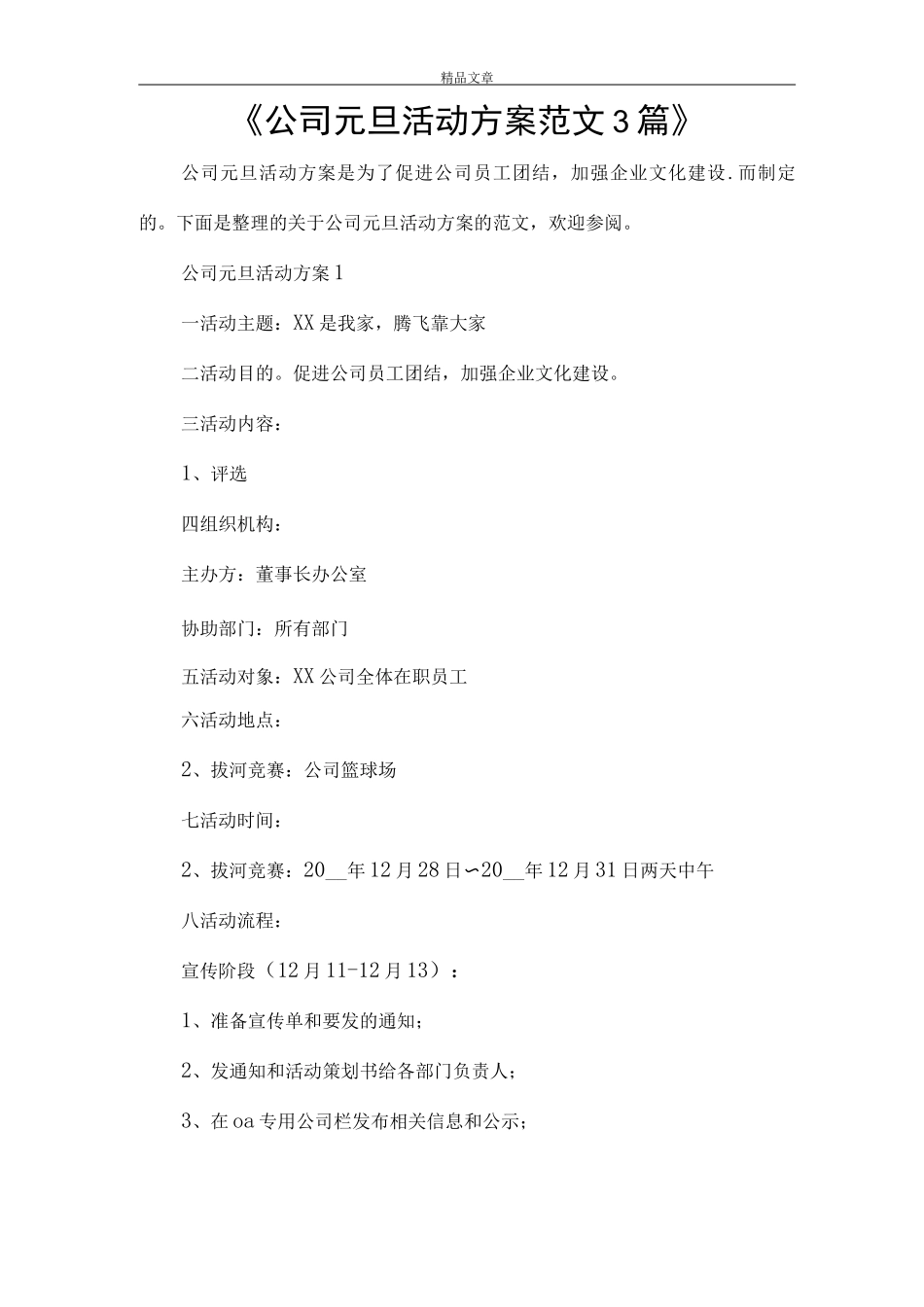《公司元旦活动方案范文》_第1页