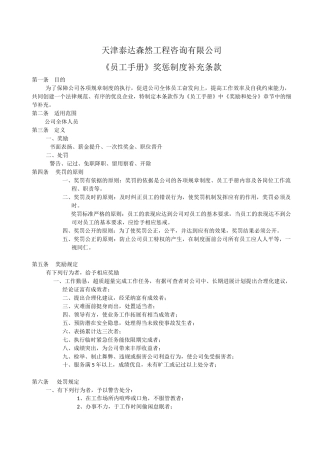 《员工手册》奖惩制度补充条款