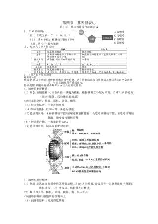 《基因指导蛋白质的合成》学案