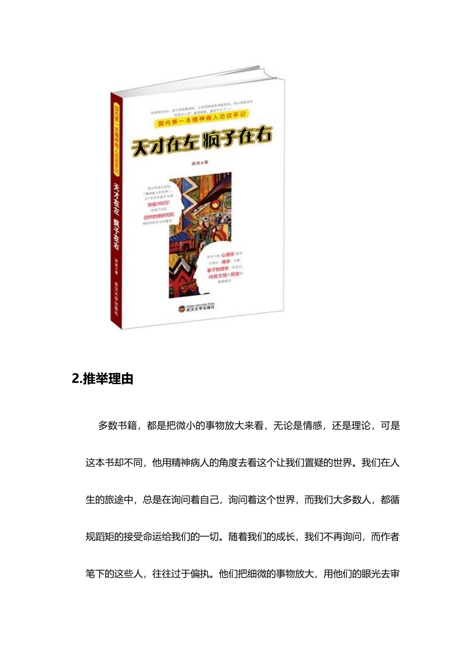 《天才在左疯子在右》的基本介绍和推荐理由_第3页