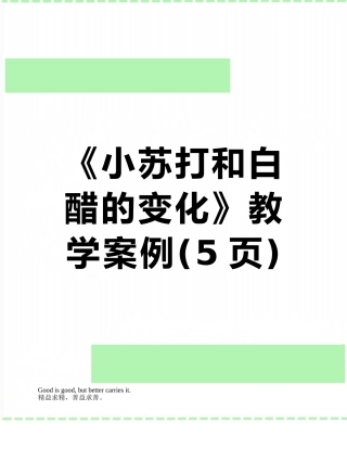 《小苏打和白醋的变化》教学案例