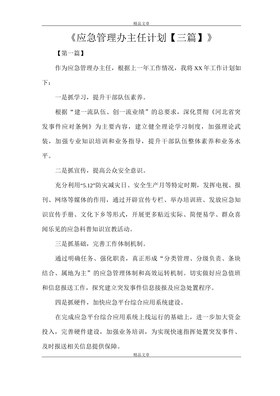 《应急管理办主任计划》_第1页