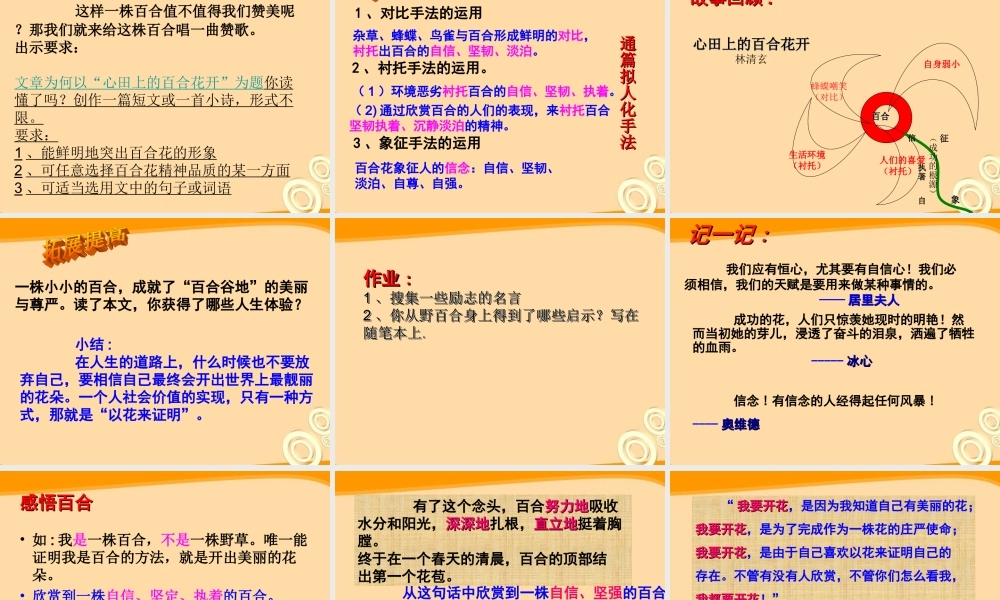 《心田上的百合花开》专题培训课件