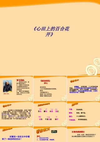 《心田上的百合花开》专题培训课件