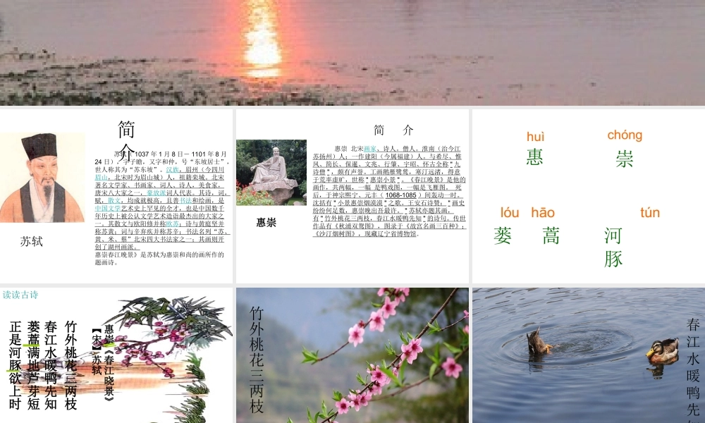 《惠崇春江晚景》专题培训课件