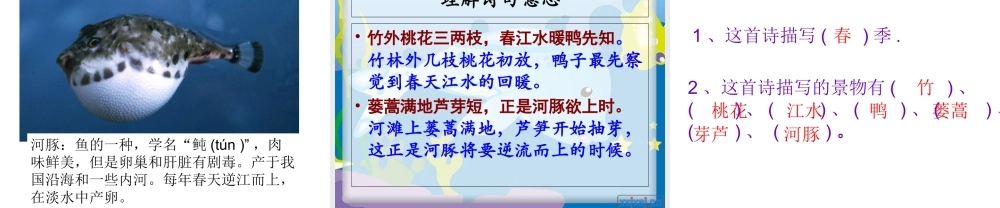 《惠崇春江晚景》专题培训课件