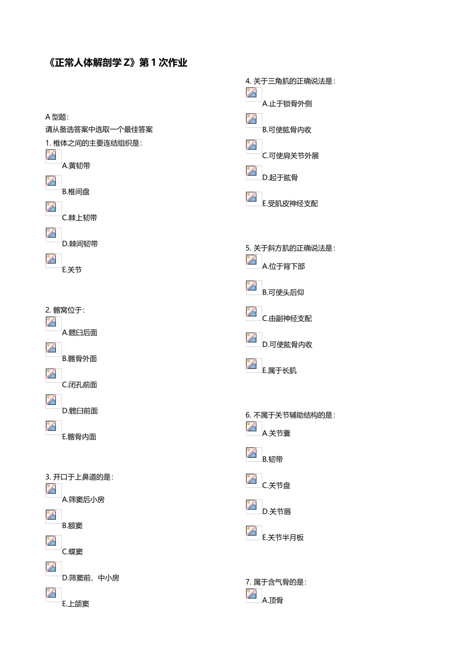 《正常人体解剖学Z》第1次作业_第2页