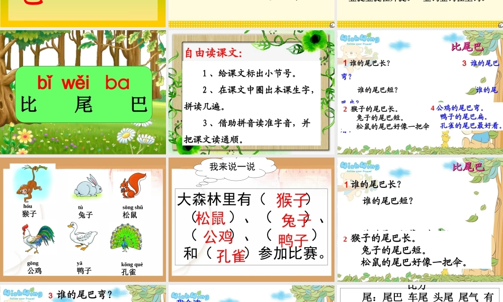 《比尾巴》专题培训课件