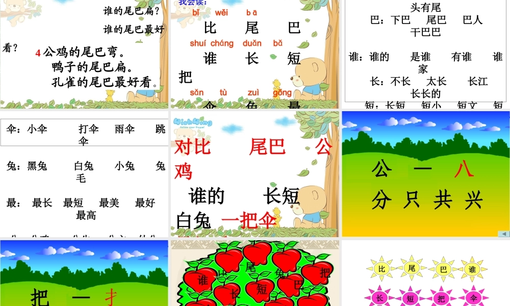 《比尾巴》专题培训课件