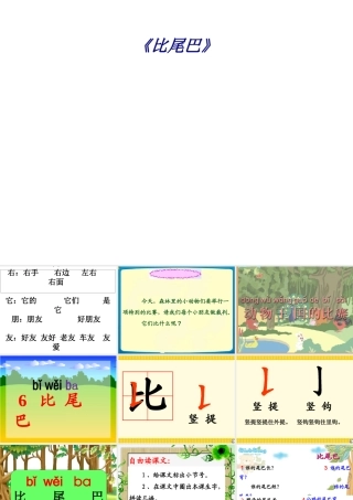 《比尾巴》专题培训课件