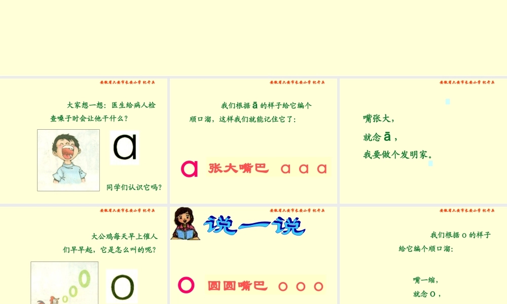 《汉语拼音单韵母aoeiuü》)专题培训课件