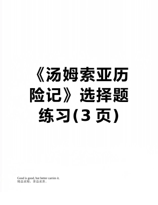 《汤姆索亚历险记》选择题练习