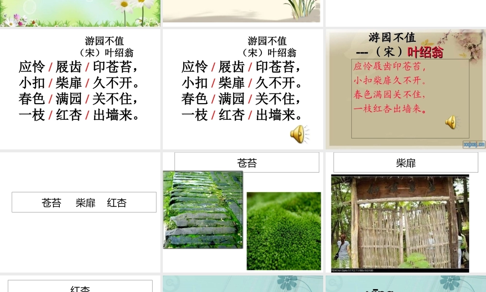 《游园不值》专题培训课件