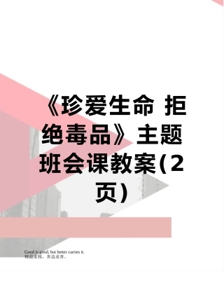 《珍爱生命-拒绝毒品》主题班会课教案