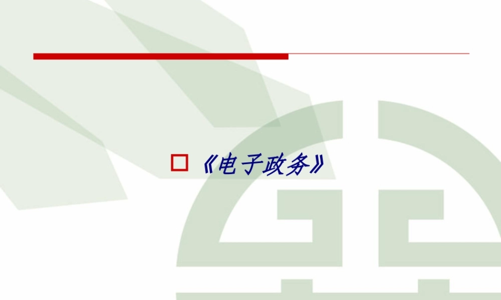 《电子政务》专题培训课件