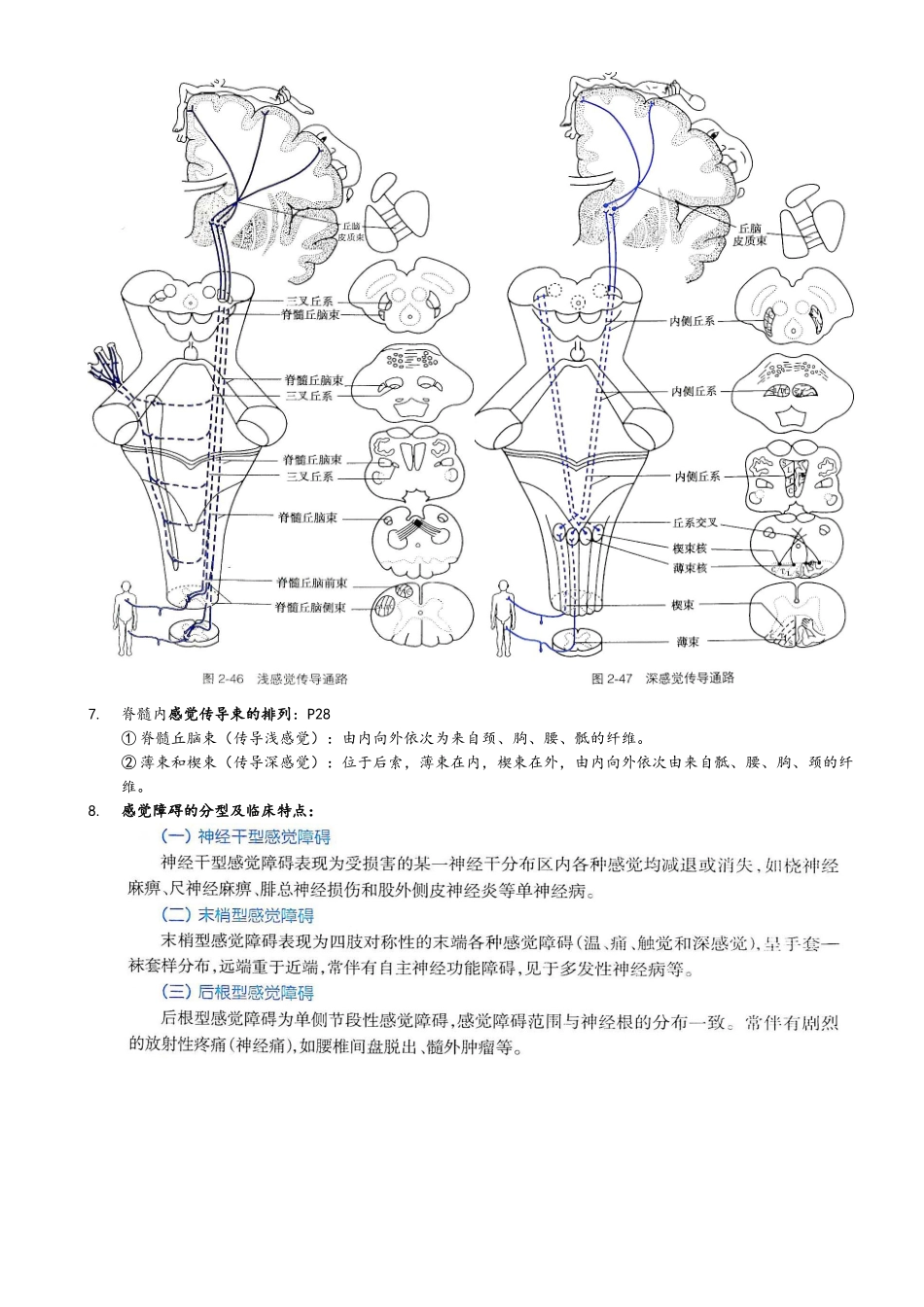 《神经精神病学》复习资料整理_第2页
