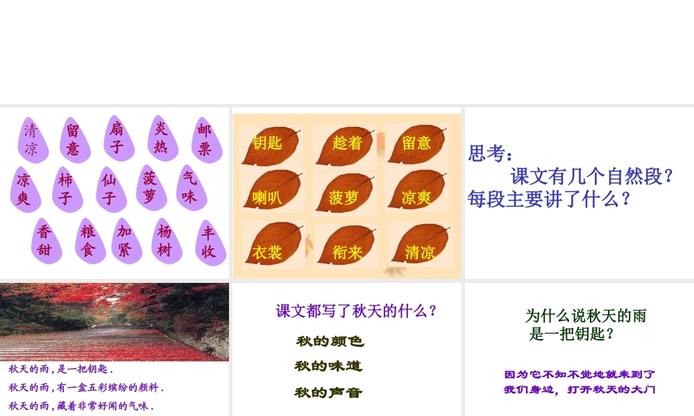 《秋天的雨》6专题培训课件