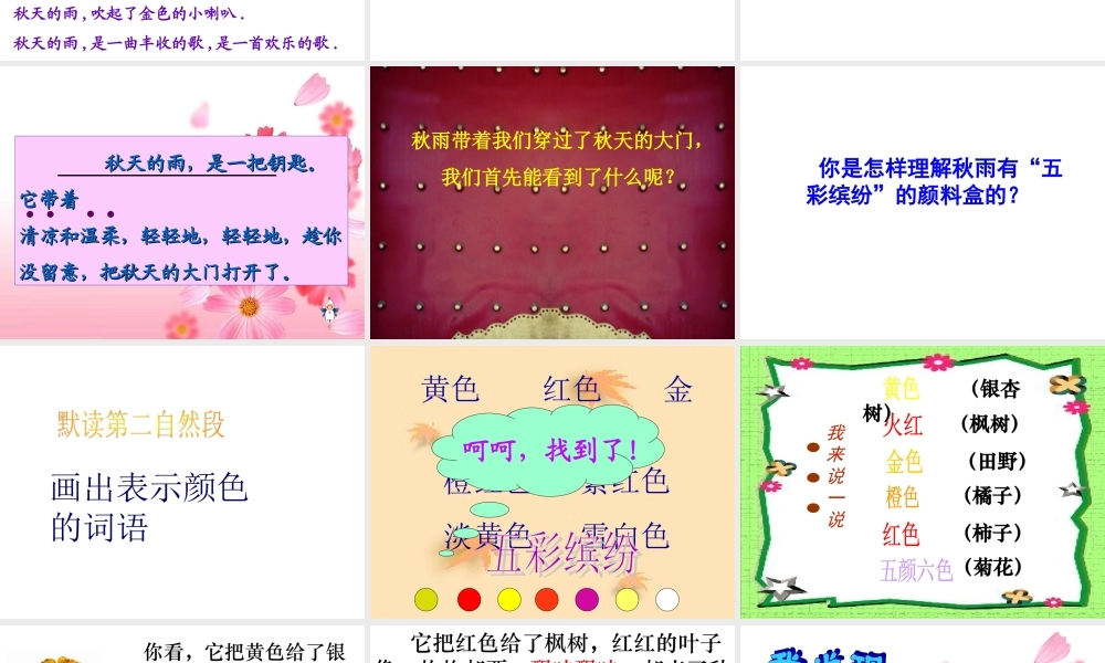 《秋天的雨》6专题培训课件