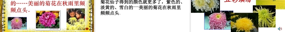《秋天的雨》6专题培训课件