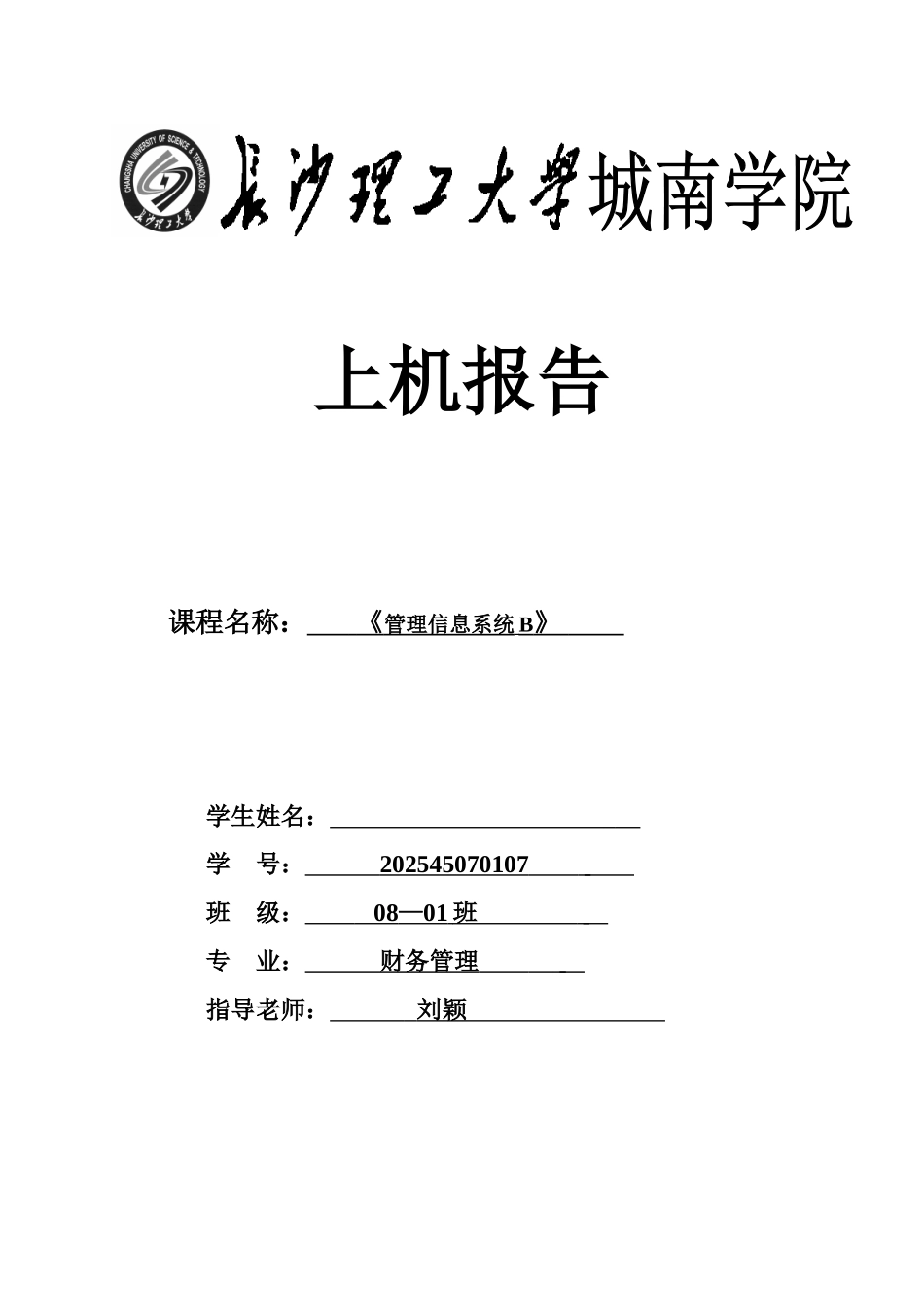 《管理信息系统B》上机报告城南_第1页