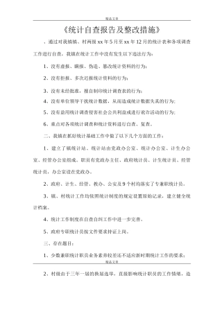 《统计自查报告及整改措施》