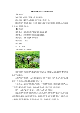 《维护国家安全》教学设计