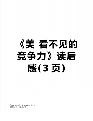 《美-看不见的竞争力》读后感