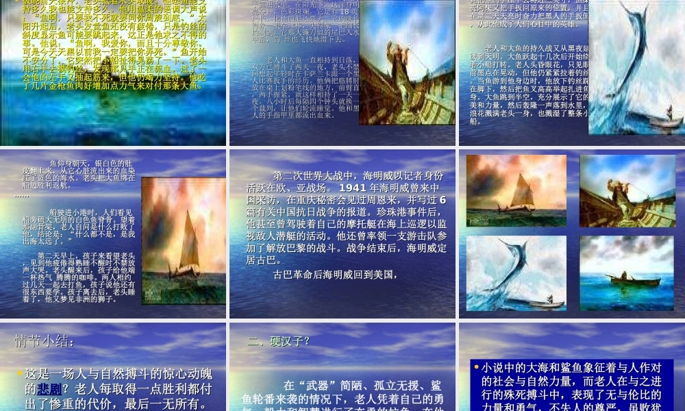 《老人和海》欣赏专题培训课件