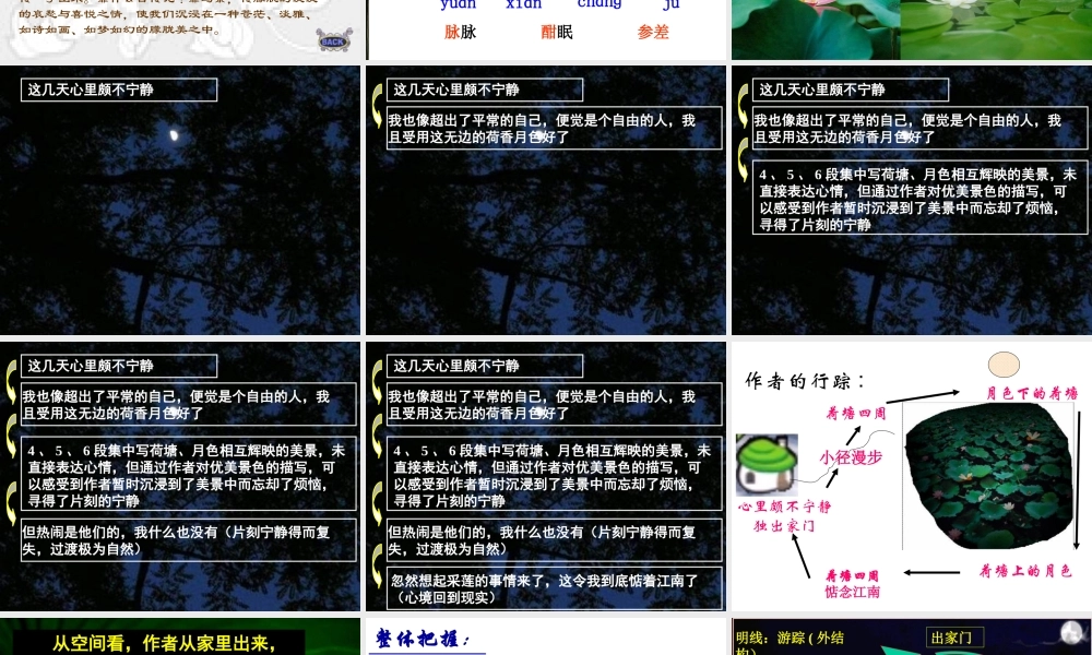 《荷塘月色》自设专题培训课件