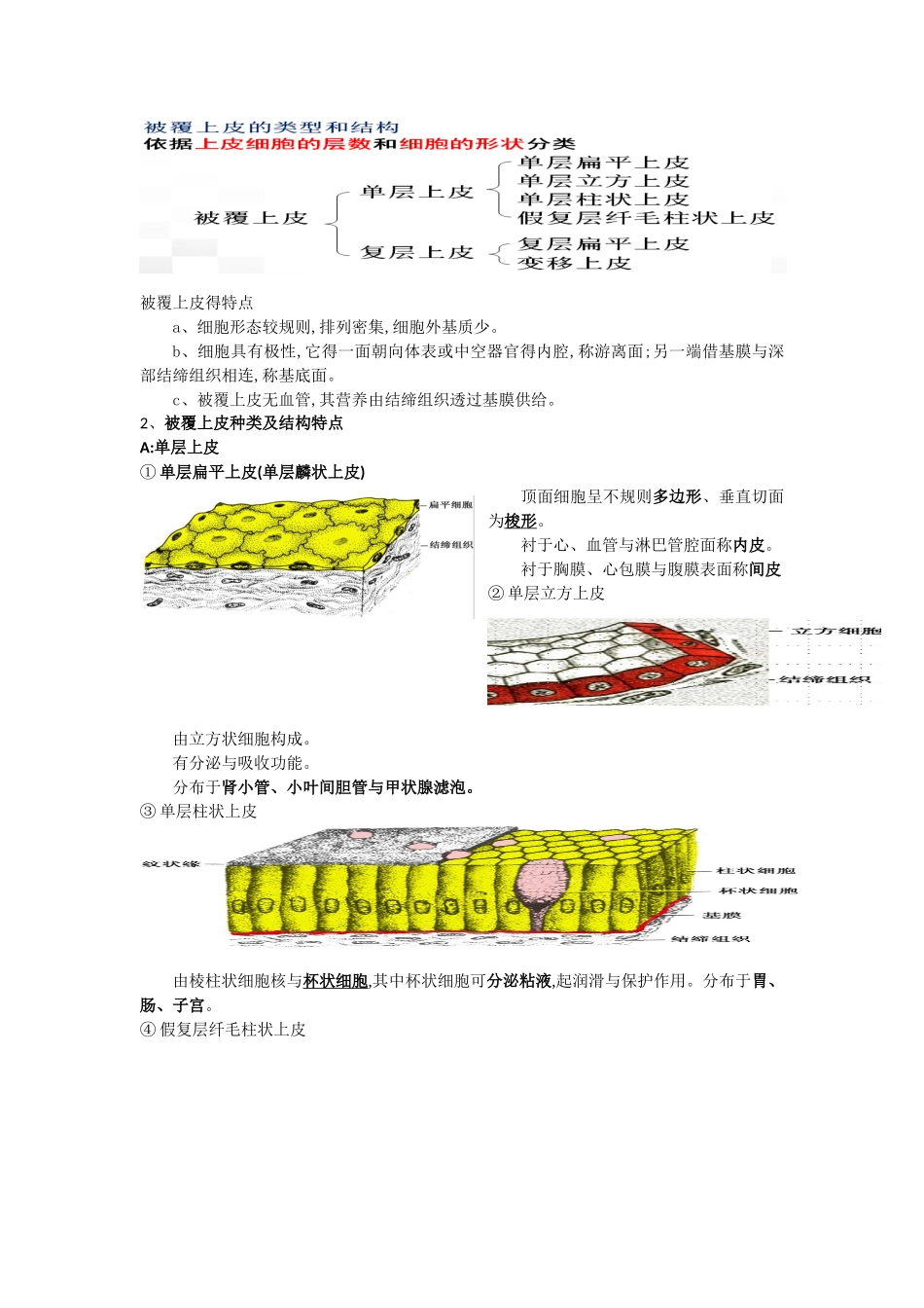《解剖学基础》1-3章知识点整理_第2页