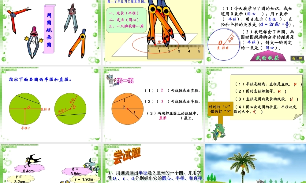 《认识圆》专题培训课件