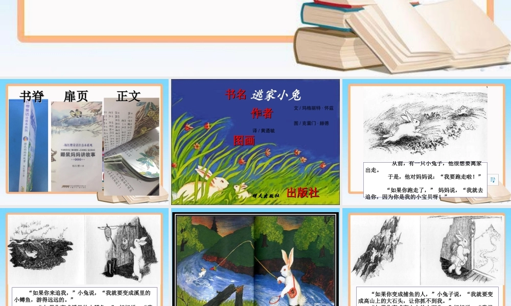《逃家小兔》精美专题培训课件