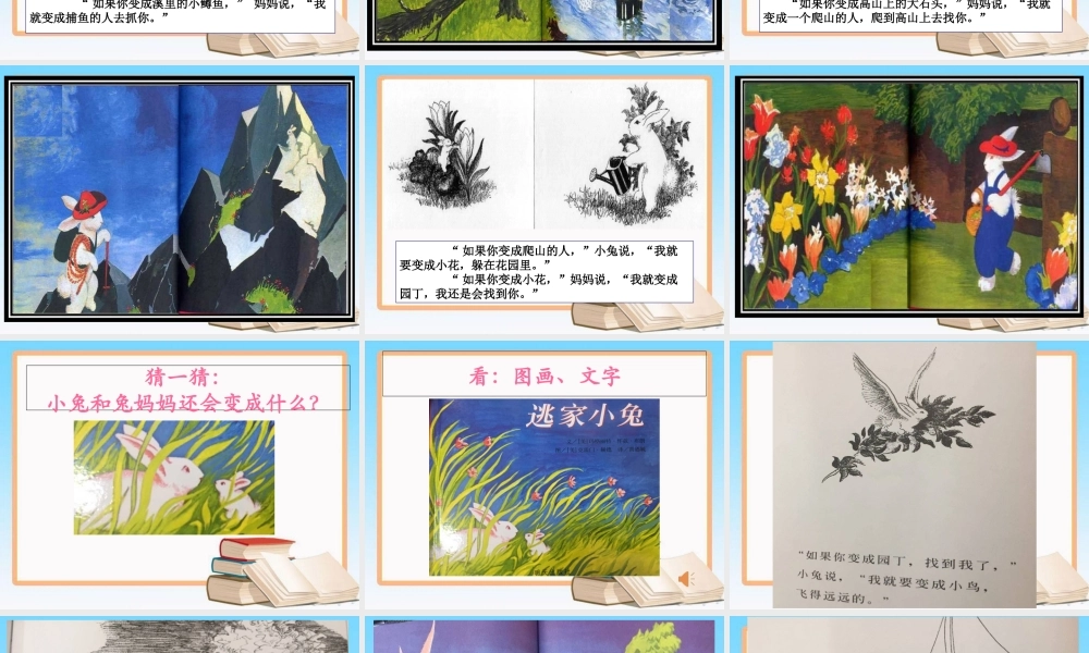 《逃家小兔》精美专题培训课件