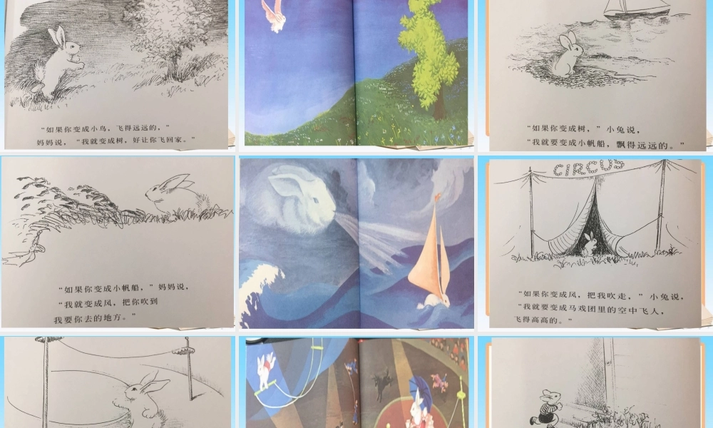 《逃家小兔》精美专题培训课件