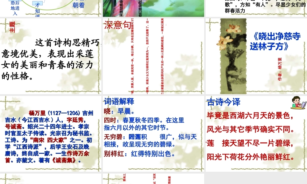 《采莲曲》专题培训课件