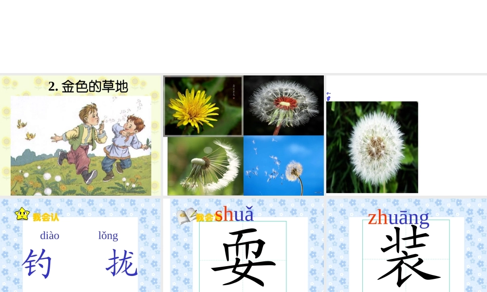 《金色的草地》专题培训课件