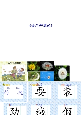 《金色的草地》专题培训课件