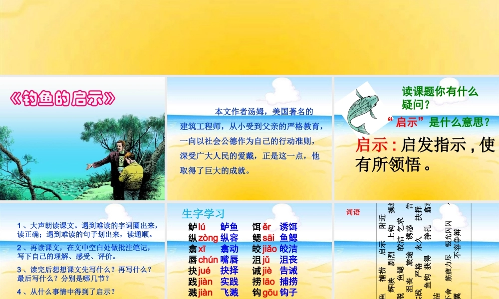 《钓鱼的启示》教专题培训课件