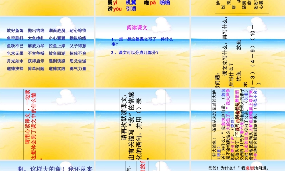 《钓鱼的启示》教专题培训课件