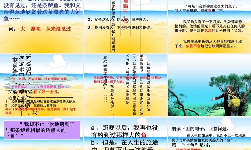 《钓鱼的启示》教专题培训课件