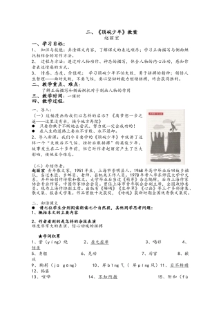 《顶碗少年》教案全面版