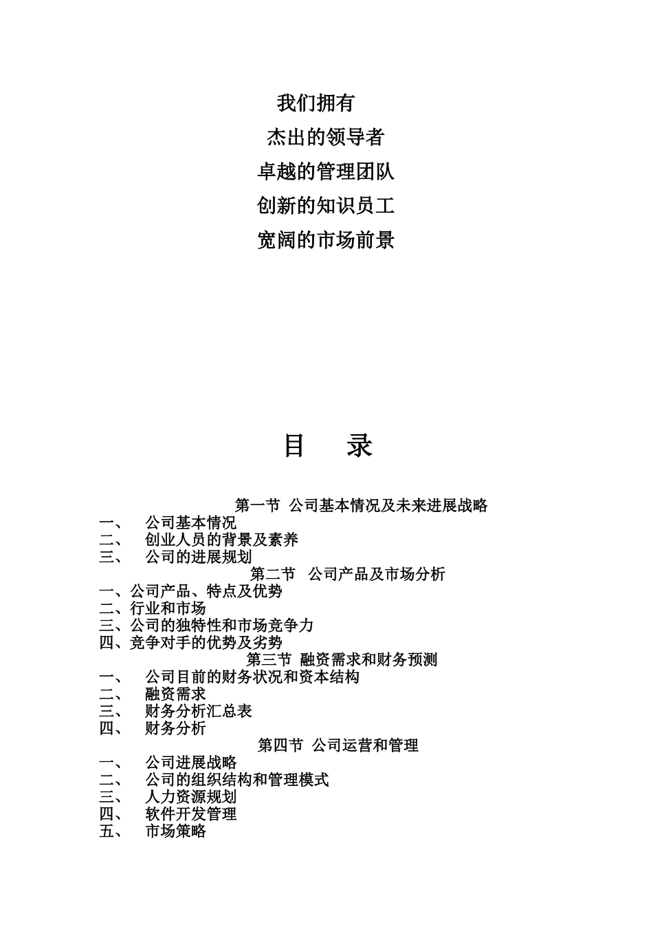 一家IT企业的商业计划书_第3页