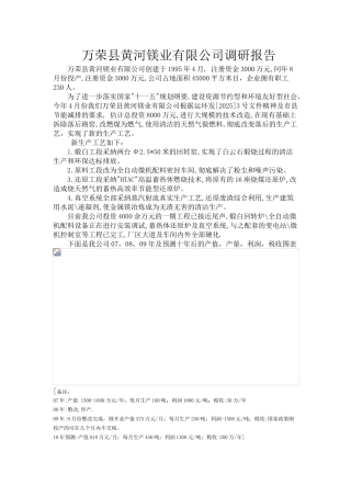 万荣县黄河镁业有限公司调研报告