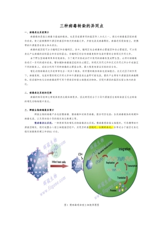 三种病毒转染的异同点