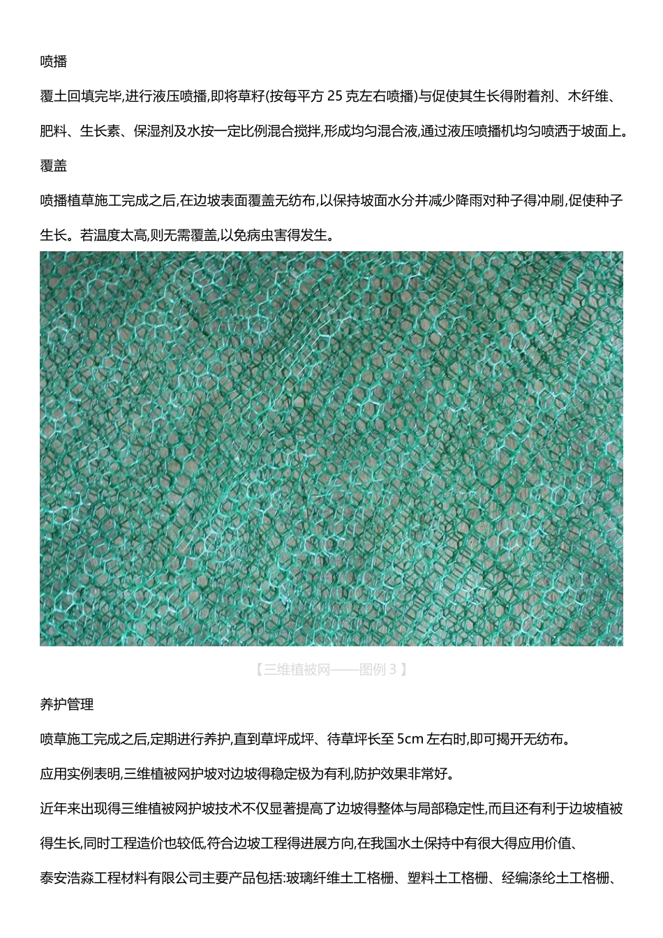 三维植被网施工工艺_第3页