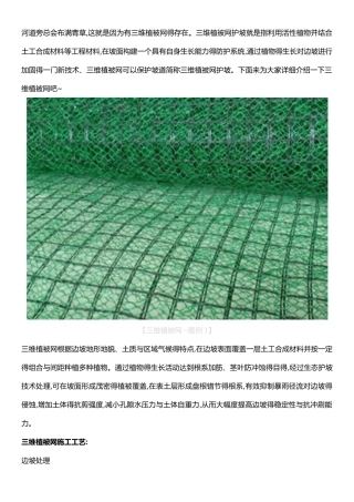 三维植被网施工工艺