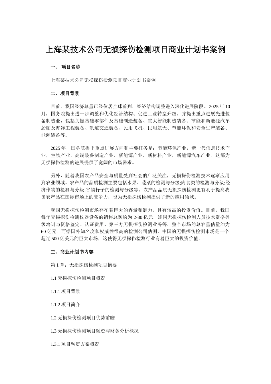 上海某技术公司无损探伤检测项目商业计划书案例_第1页